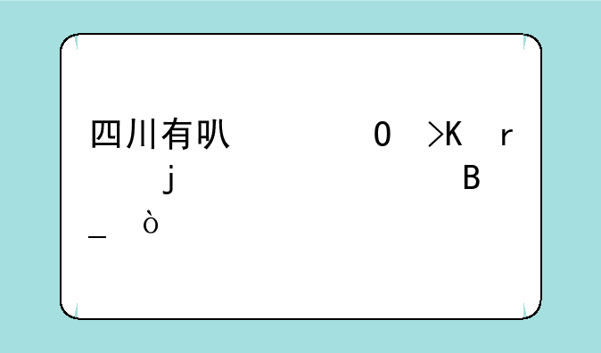 四川有可以专插本的学校吗？