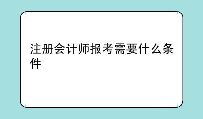 注册会计师报考需要什么条件