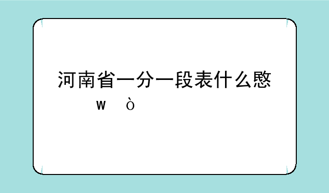 河南省一分一段表什么意思？