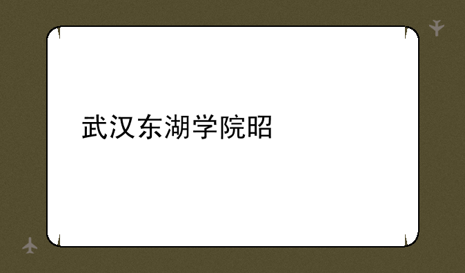 武汉东湖学院是几类