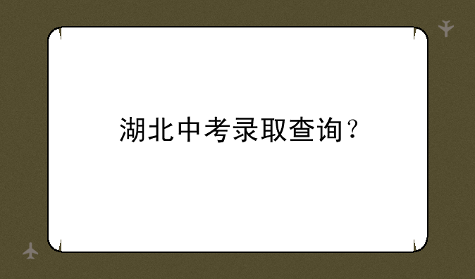 湖北中考录取查询？