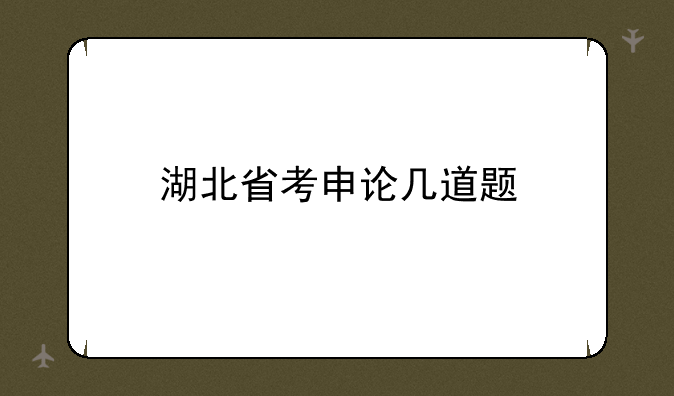 湖北省考申论几道题