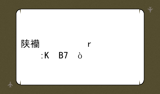 陕西一本大学排名？