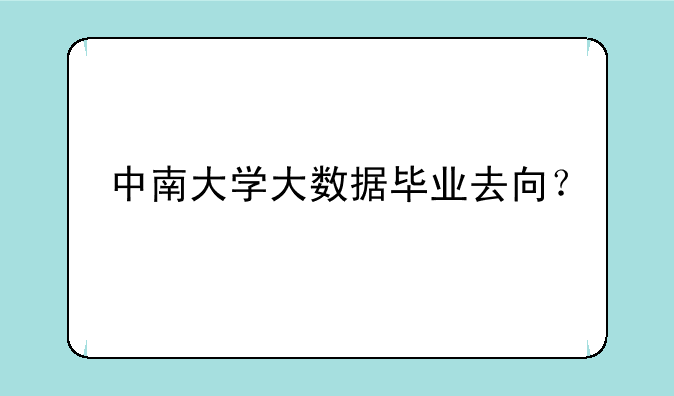 中南大学大数据毕业去向？