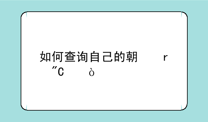 如何查询自己的期末成绩？