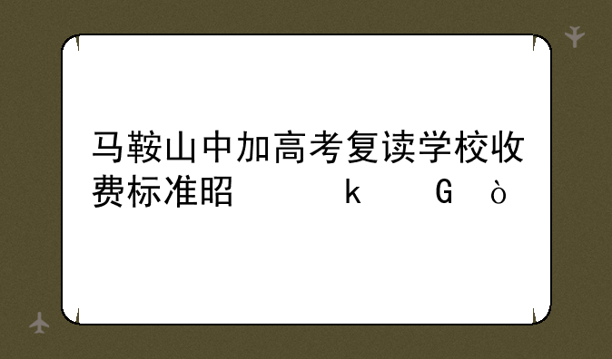 马鞍山中加高考复读学校收费标准是